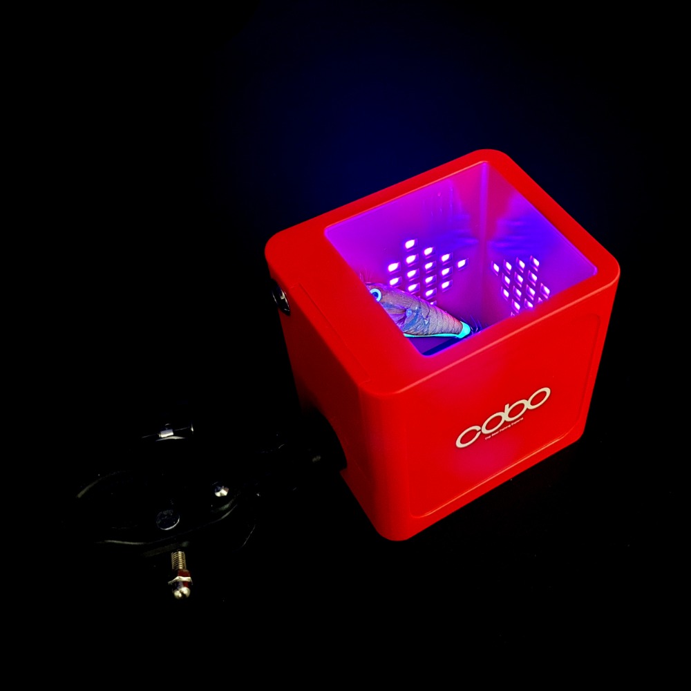 코보 UV 축광기 배터리 증정  /COBO 1초한치 갑오징어